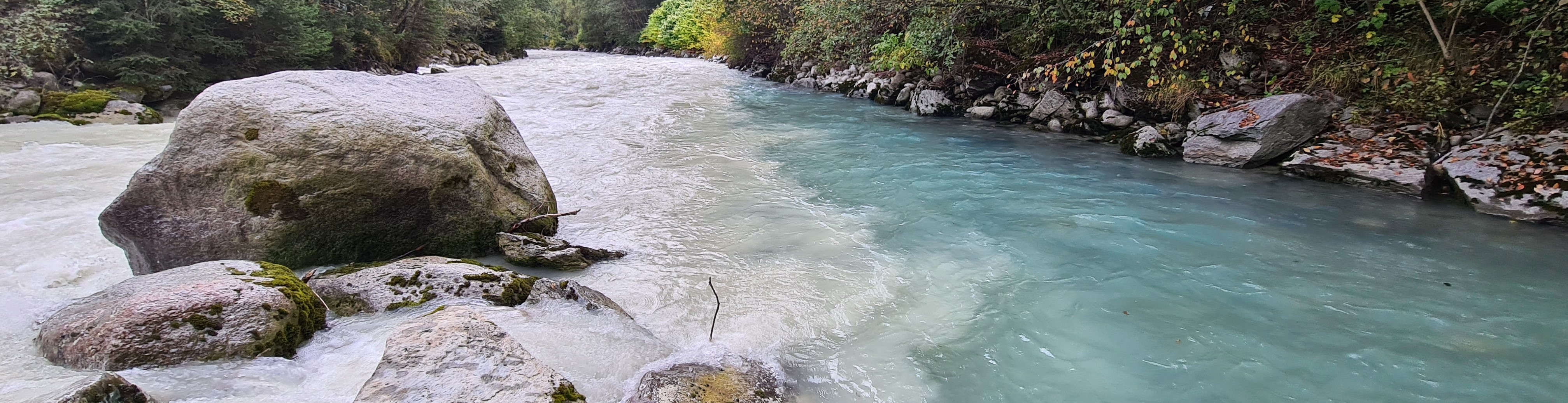 Confluence Arve/Arveyron